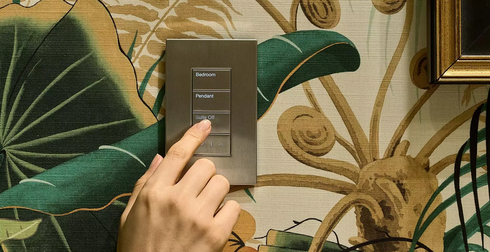 Lutron Palladiom keypad